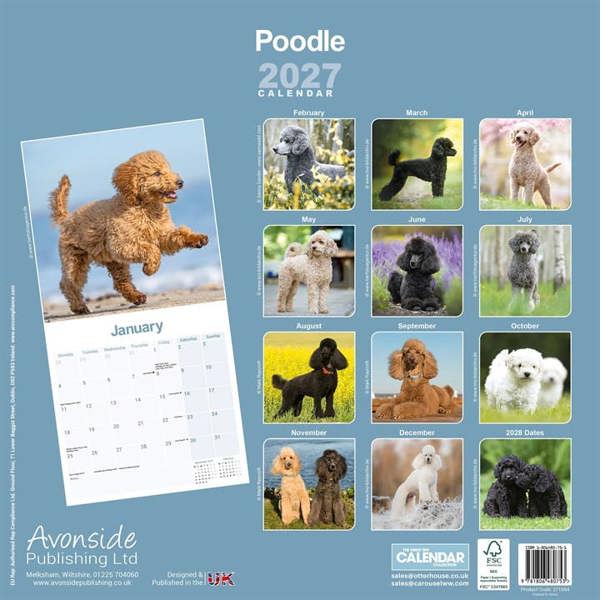 Poodle Calendar 2027, Wall Calendars, Month To View, Dogs, Gift