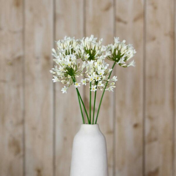 Wyld Haus Set of 3 Artificial Flowers Cream Agapanthus Sprays