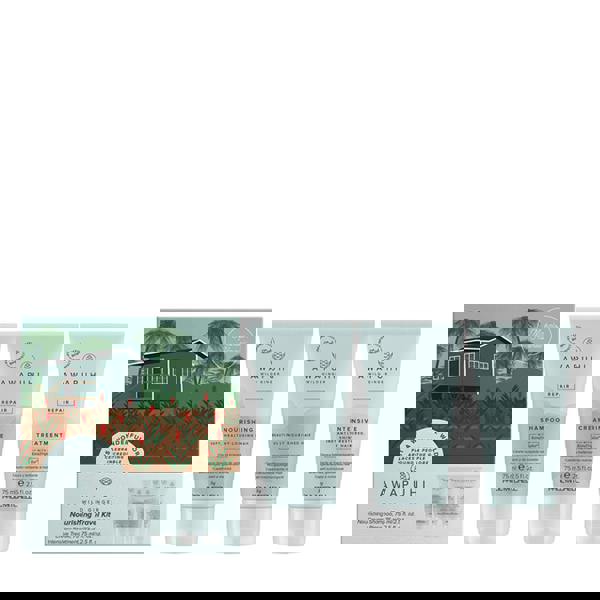 Paul Mitchell Awapuhi Wild Ginger Kit