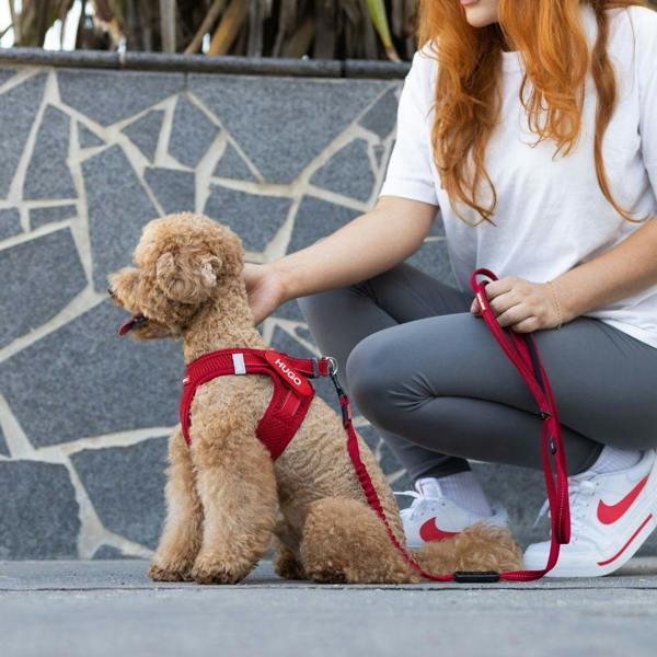 EzyDog FORMFIT® Mesh Dog Harness in Red