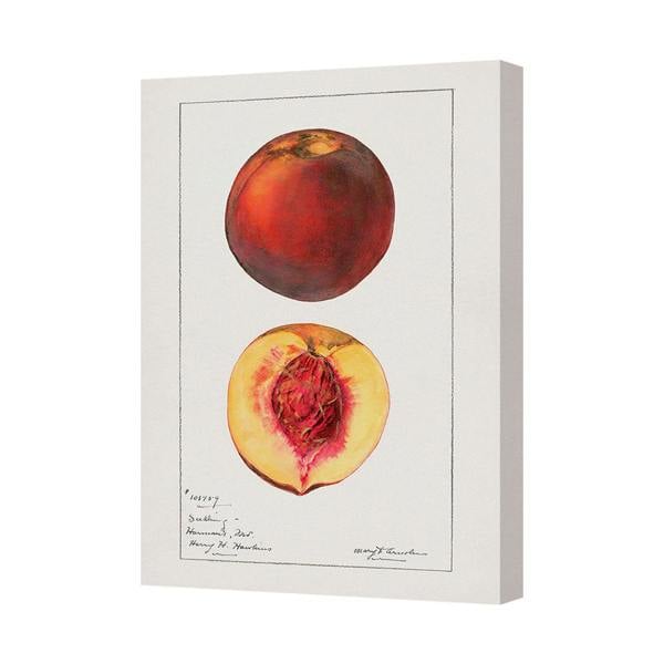 Benjamin Tate Design Contemporary Peach Canvas Art Print On Deep Wooden Frame UK Handmade