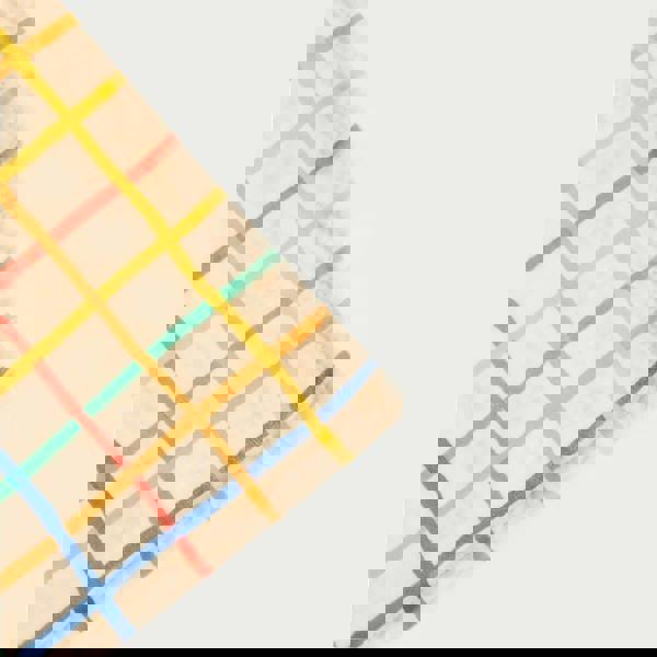 The Bonnie Mob Ditto - Rainbow Check Large Muslin Swaddle Blanket