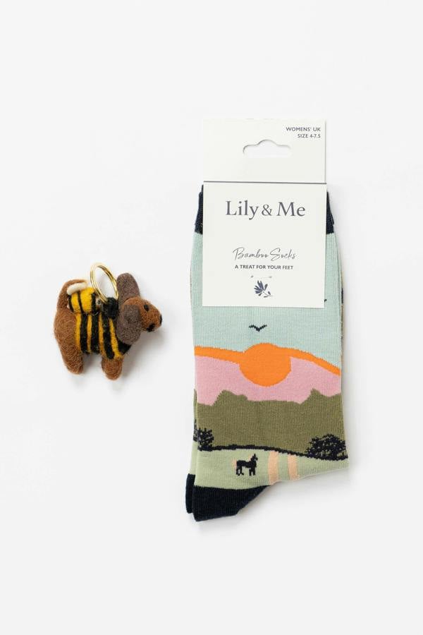 Lily & Me Derek The Dog Bamboo Socks And Decoration Giftbox