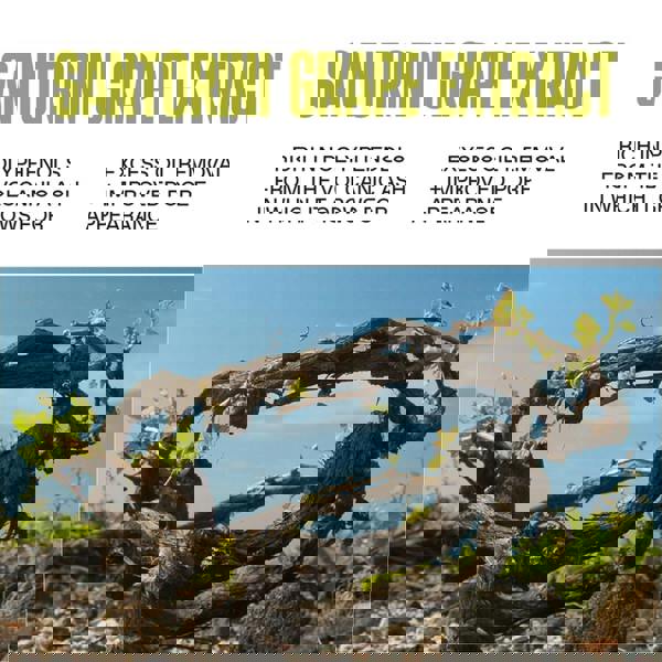 Korres Santorini Grape Toner 125 ml