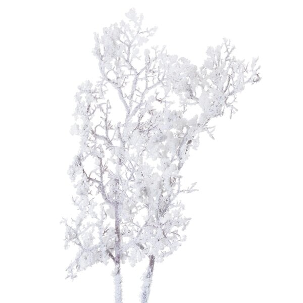 Wyld Haus Set of 3 Snowy Branches