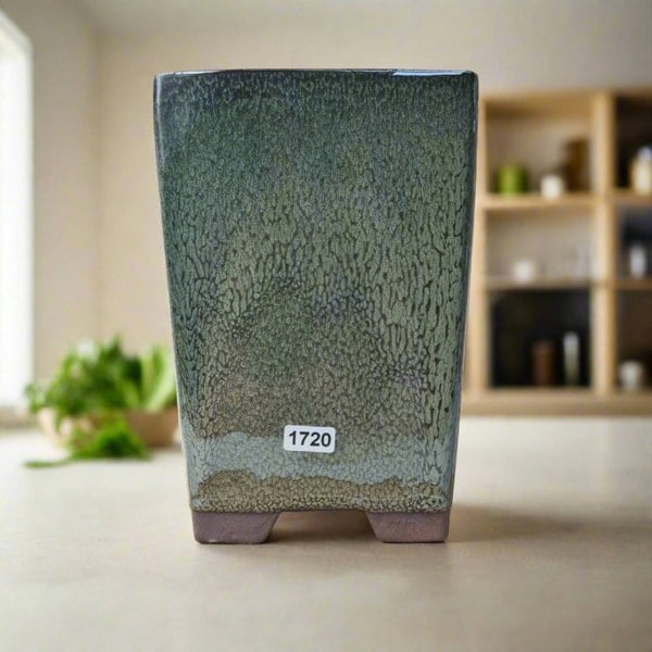 13cm Glazed Bonsai Pot | Cascade | 13cm x 19cm | Green - Yorkshire Bonsai