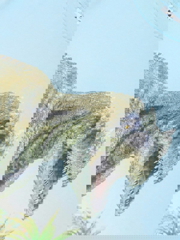 MOLS4075_BEACH_DINO_3