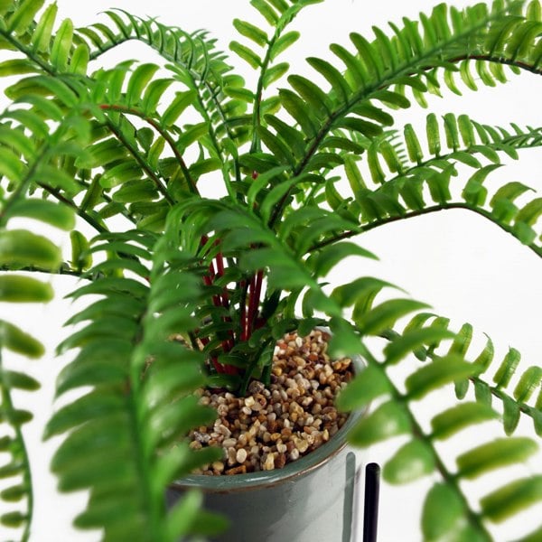 Leaf 40cm Artificial Fern with Ceramic Planter & Stand