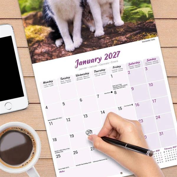 Cats Calendar 2027, Wall Calendars, Month To View, Cats, Gift