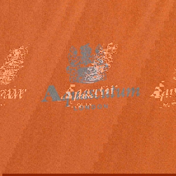 Aquascutum ACTIVE SMALL LOGO CREW FW23 SW006 23 Orange Jumper Mens S