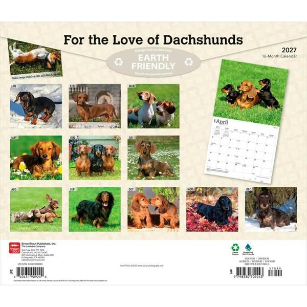 For The Love Of Dachshunds Deluxe Calendar 2027, Deluxe Calendars, Month To View, Dogs, Gift