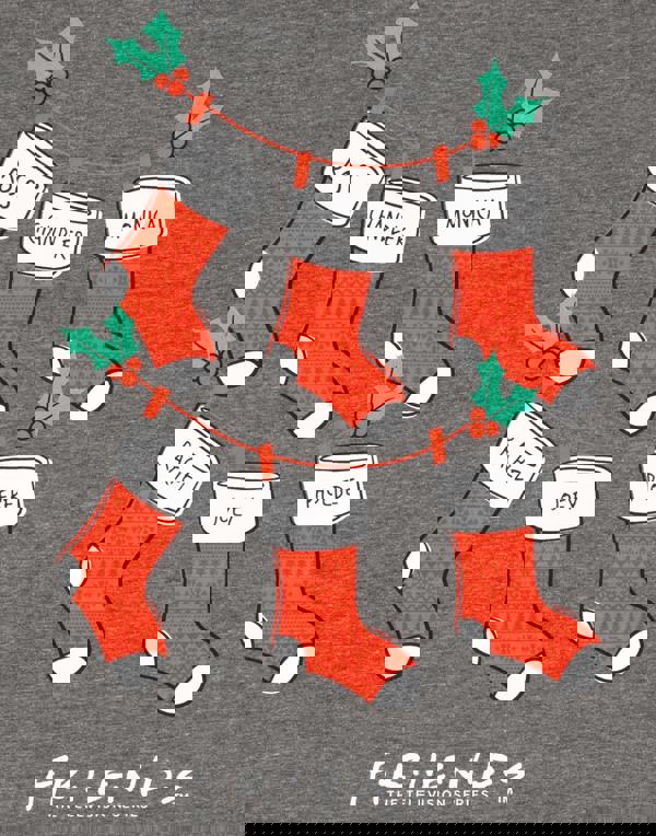 Friends Womens Grey Short Sleeved T-Shirt