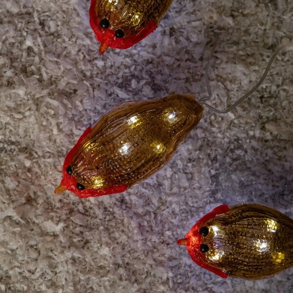 Samuel Alexander Set of 5 Battery Powered Light Up Acrylic Christmas Robins with White LEDs
