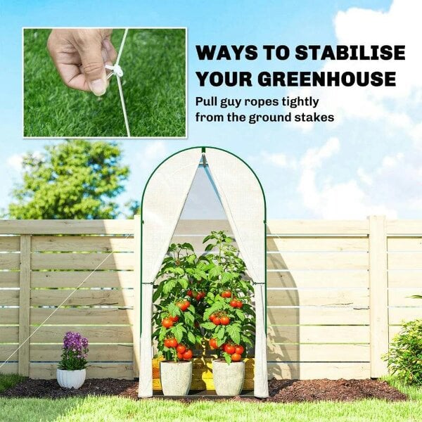 Bobobiy Mini Greenhouse, Portable Green House with Roll-Up Door, PE Base, Small Greenhouse, 100 x 100 x 195 cm, White