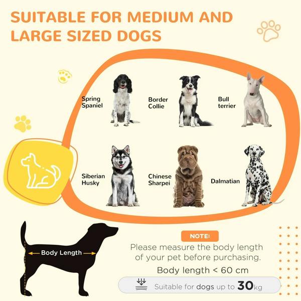Dog size guide infographic for medium and large dogs with body-length sizing note