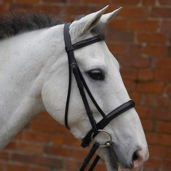 Hy Padded Cavesson Bridle with Rubber Grip Reins - Black