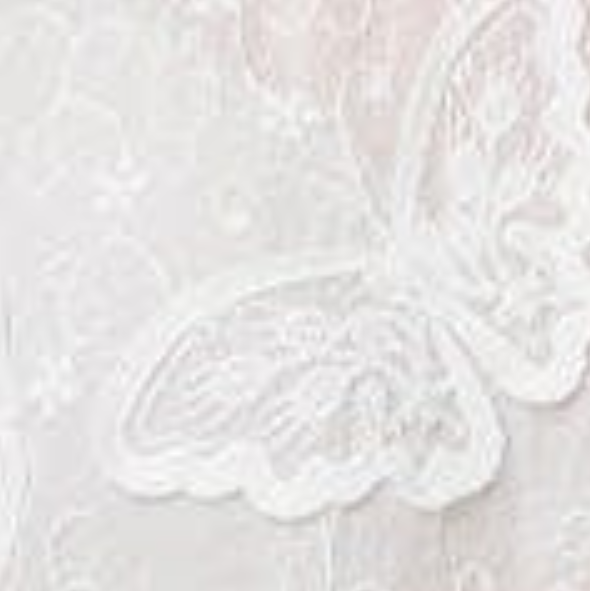 Izabel London Butterfly Textured Lace Trim Blouse