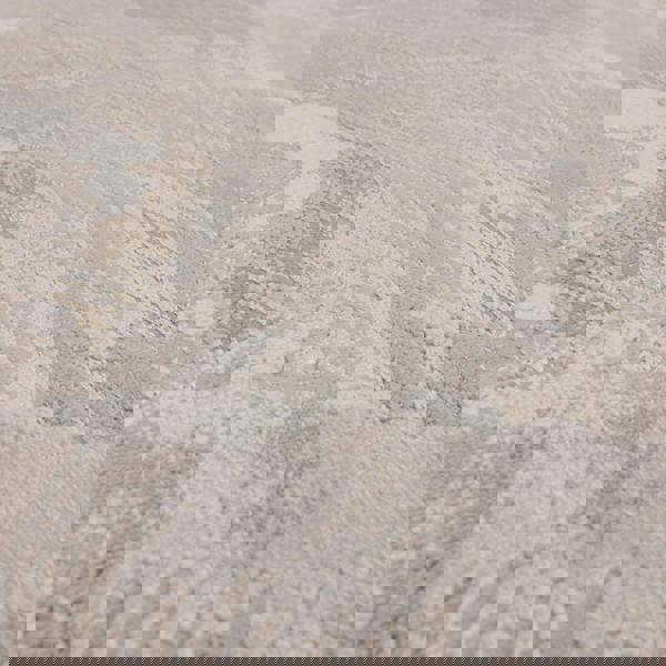 Asiatic Aurora AU23 Etch Rug