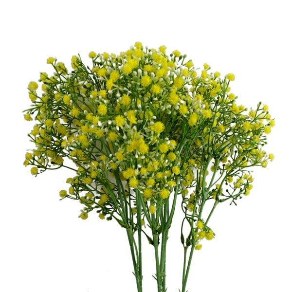 Leaf Pack of 6 x 55cm Gypsophila Yellow Stem