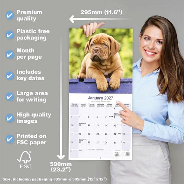 Dogue De Bordeaux Calendar 2027, Wall Calendars, Month To View, Dogs, Gift