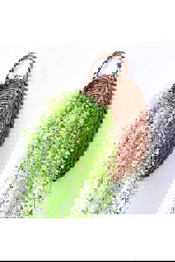 Living and Home Artificial Hanging Plants Decoration