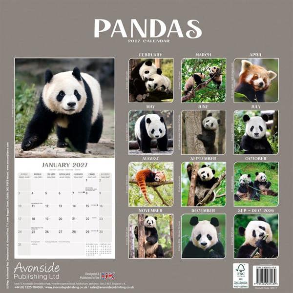 Pandas Calendar 2027, Wall Calendars, Month To View, Animals, Gift
