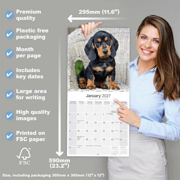 Dachshund Calendar 2027, Wall Calendars, Month To View, Dogs, Gift
