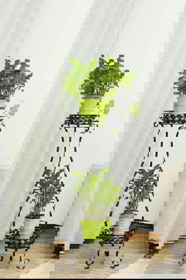 Living and Home 2 Tier Tall Vintage Metal Plant Stand Flower Holder Plant Pot Rack