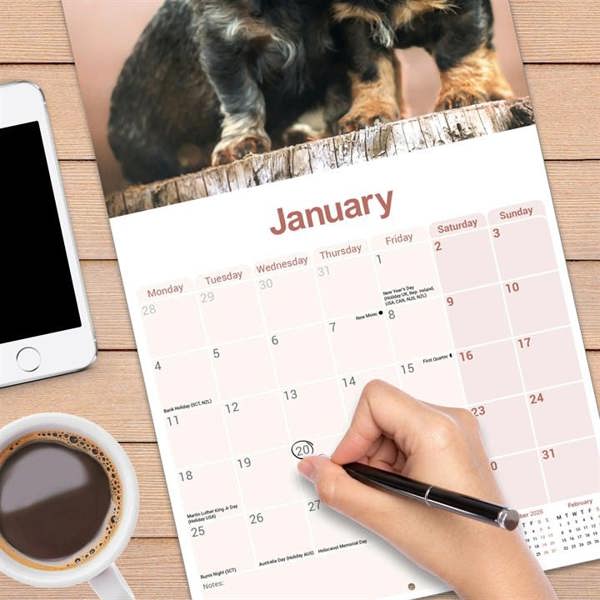 Wire Haired Dachshund Calendar 2027, Wall Calendars, Month To View, Dogs, Gift