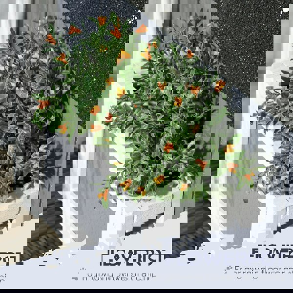 D30-670V00GY