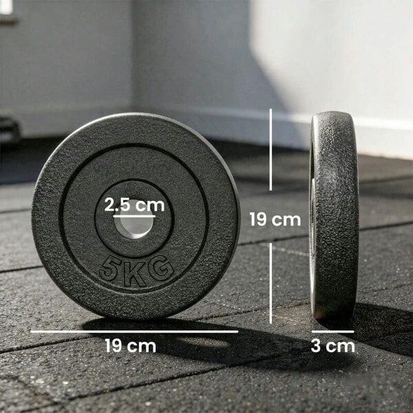 Weight Plates Set, 1"/2.5cm Weight Disc Pair, 4 x 5kg Metal Dumbbell/Barbell Plates for Home Gym
