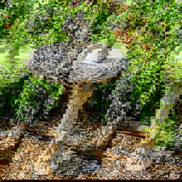Stone cast Birdbath with Squirrel