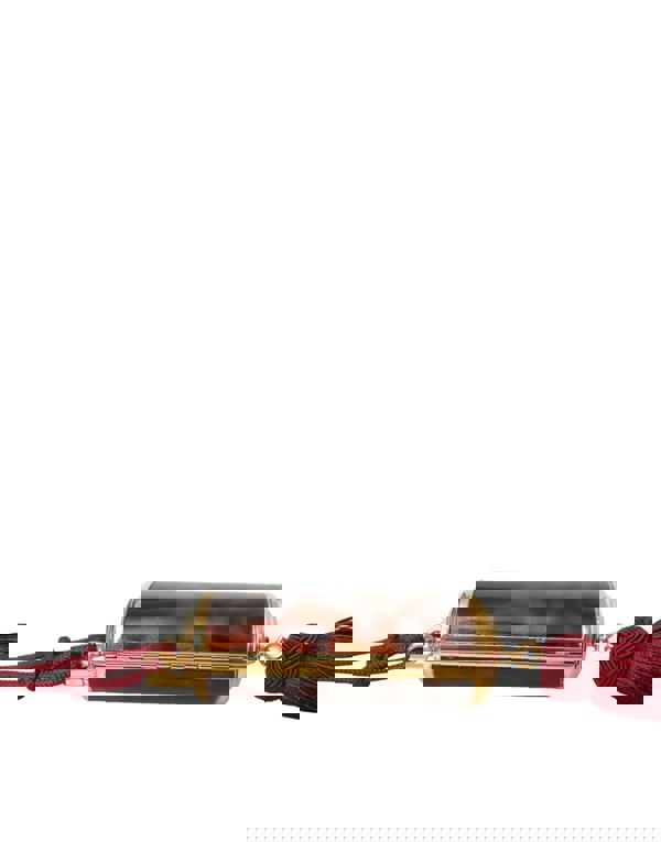 173490259.jpg