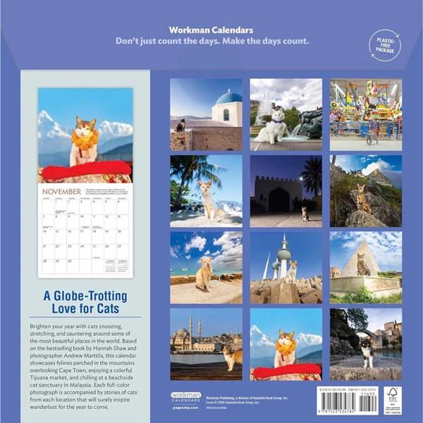Cats of the World Calendar 2027, Wall Calendars, Month To View, Cats, Gift