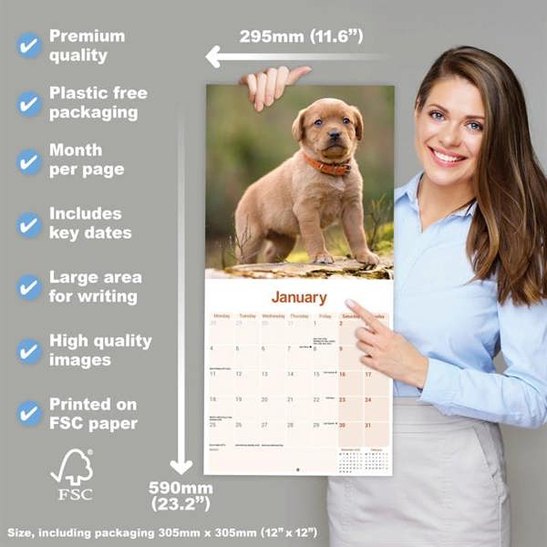 Fox Red Labrador Retriever Calendar 2027, Wall Calendars, Month To View, Dogs, Gift