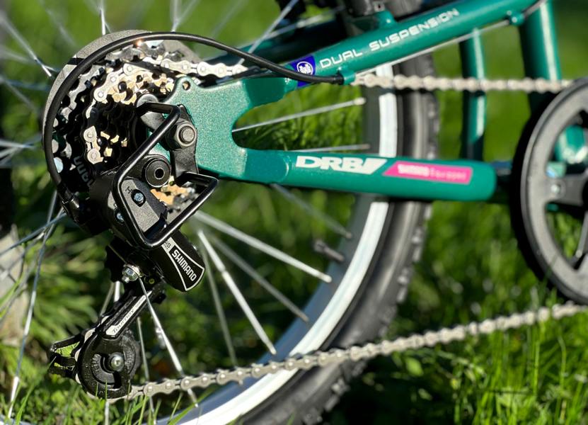 Dallingridge Melody 20" Girls Full Suspension Mountain Bike - Metallic Teal/White