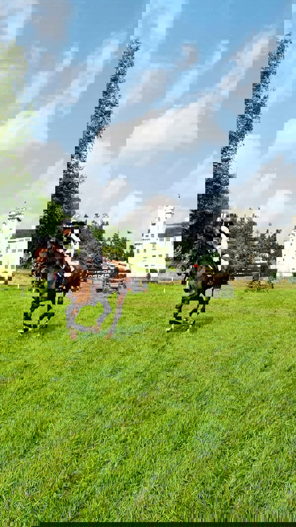 RUFFNEK Country Tweed Snood Neck Gaiter