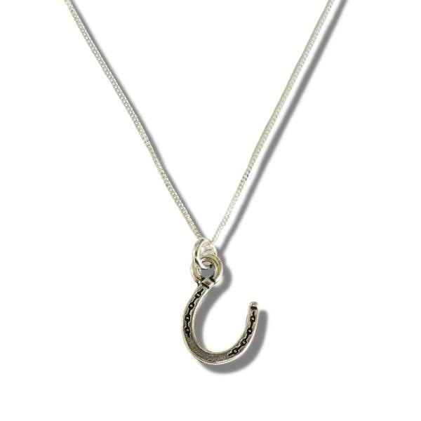 Aye Do Gifts Horseshoe Silver Necklace