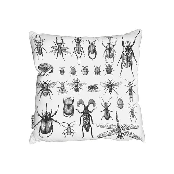 Benjamin Tate Design Big Set Of Insects Bugs Beetles And Bees, Fleas Many Species In Vintage Old Hand Drawn Style (Outdoor Cushion)
