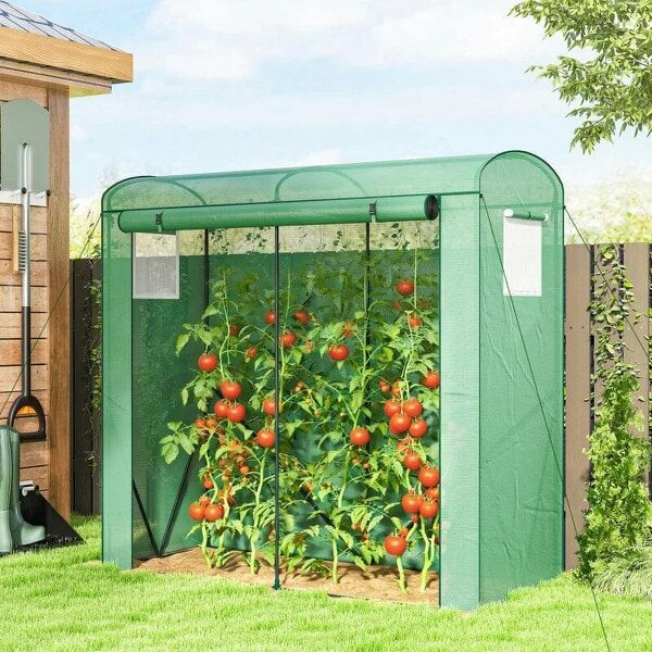 Mini Greenhouse, Garden Tomato Growhouse with Roll-Up Door and 2 Mesh Windows, PE Cover, 200 x 75 x 188 cm, Green - Green