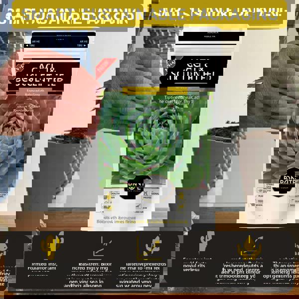 Bronte Heritage Cacti & Succulent Fertiliser – 250g water-soluble powder for indoor/outdoor plants. Promotes healthy growth & plump leaves