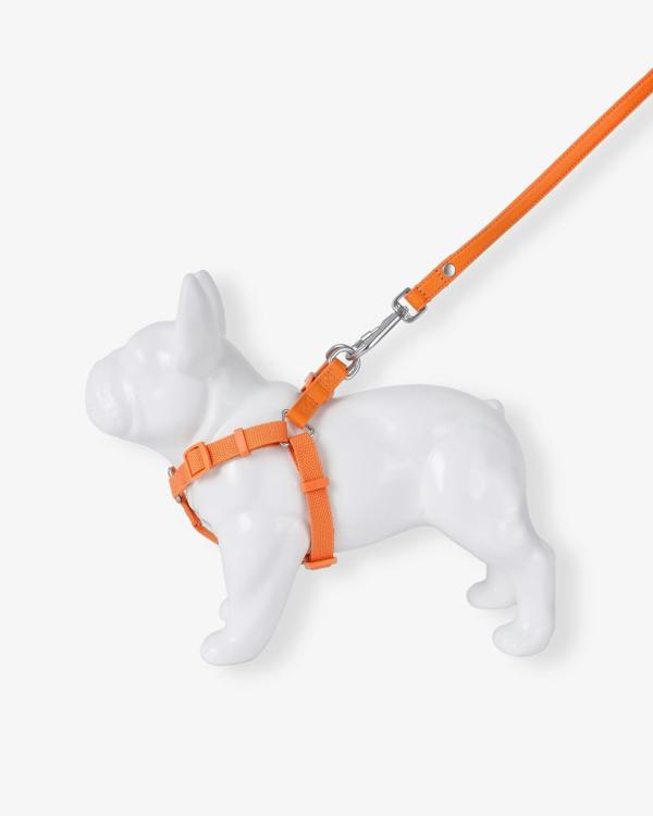 Barc London Mandarin Orange Dog Harness