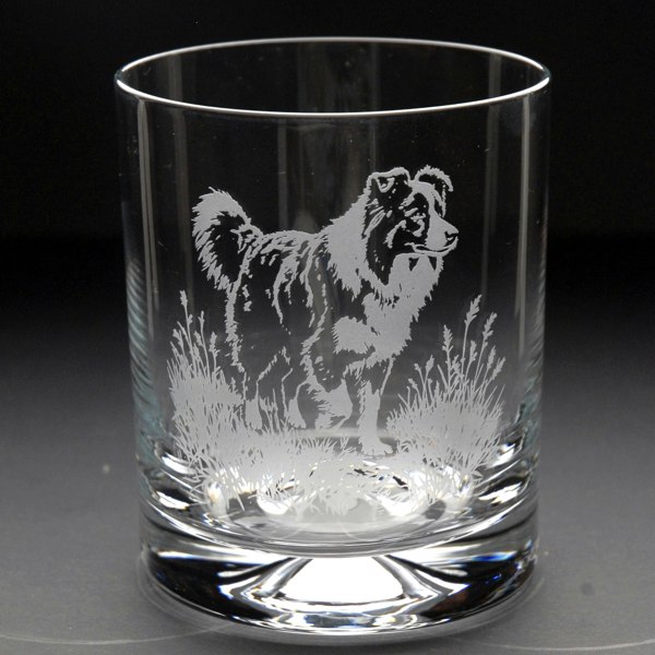 Glyptic Glass Art Border Collie Dog Whiskey Tumbler Glass - Hand Etched/Engraved Gift