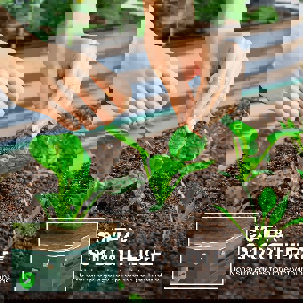 Garden Bed