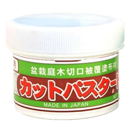 Japanese Bonsai Cut Paste | 190g Tub | White Top For Deciduous & Tropical Trees - Yorkshire Bonsai