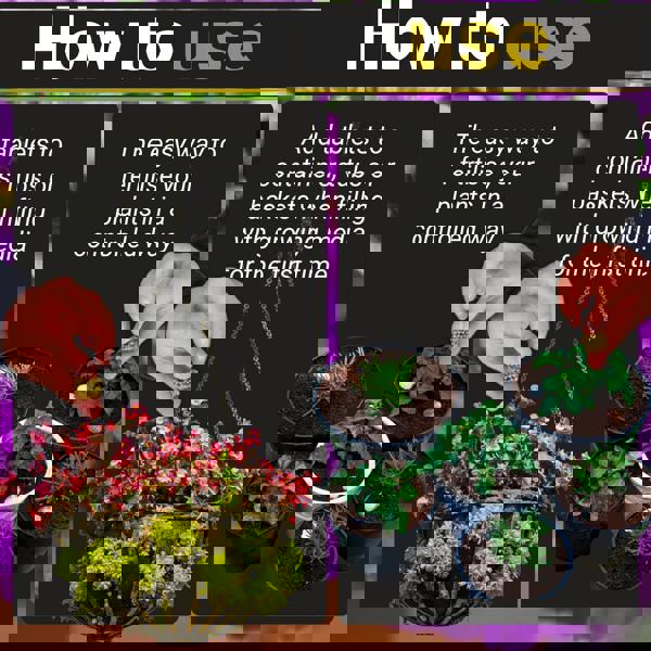 Bronte Heritage Multipurpose Tablets 12pcs – 9-month controlled-release fertiliser with NPK & magnesium for baskets, pots & garden beds