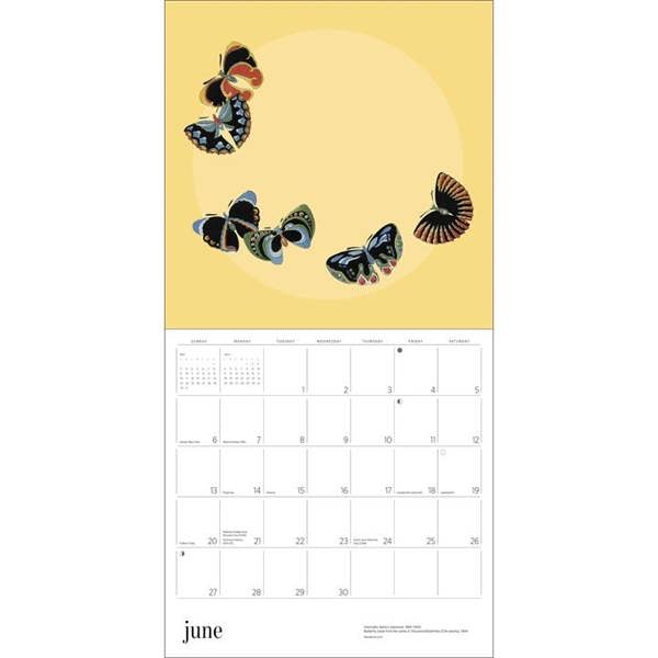 Butterflies Calendar 2027, Wall Calendars, Month To View, Animals, Gift