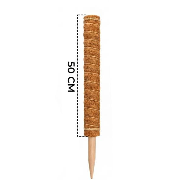 HAAY TOOLS Moss Pole for Monstera & Houseplants – Natural Coir Plant Support Stake for Indoor Climbing Plants