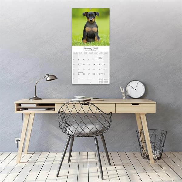 Miniature Pinscher Calendar 2027, Wall Calendars, Month To View, Dogs, Gift