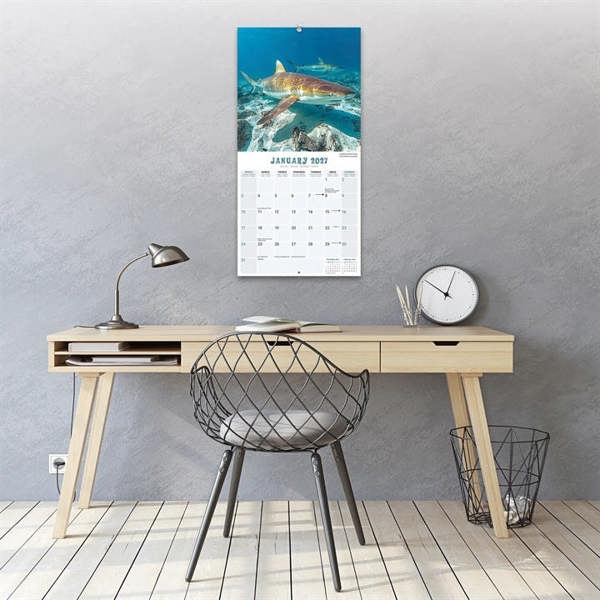 Sharks Calendar 2027, Wall Calendars, Month To View, Animals, Gift